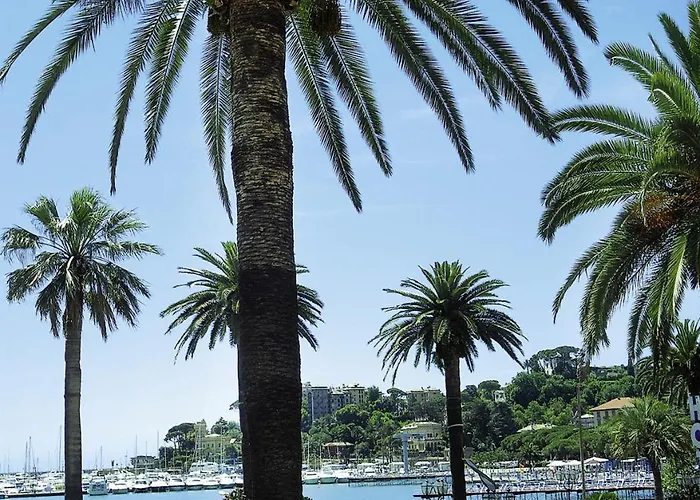 Miro' 3* راباللو